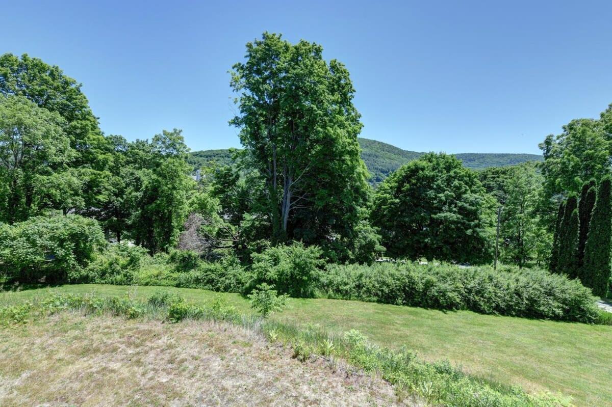 Berkshire Vacation Rentals: Great Barrington Cabin Sleeps 14 Walk To Town Kültér fotó